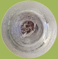 vase